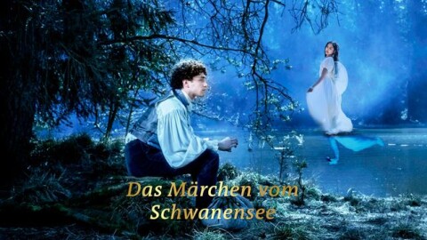 Teaserbild Das Märchen vom Schwanensee